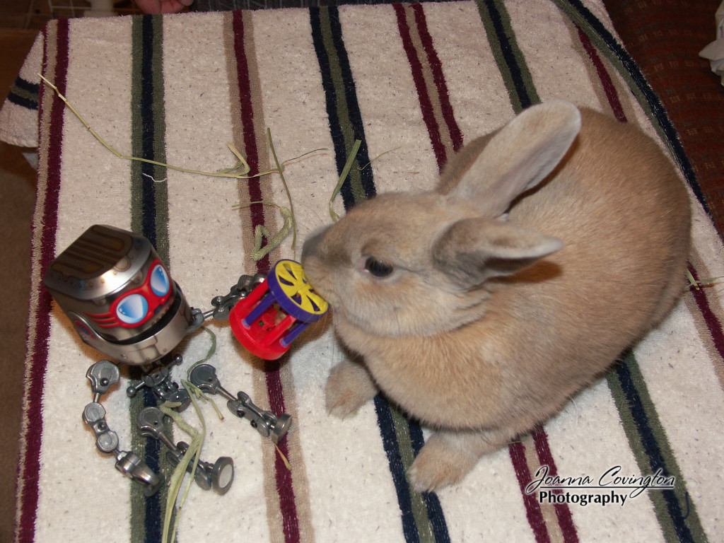Cinnabun posing with CanDroid - 12/2005